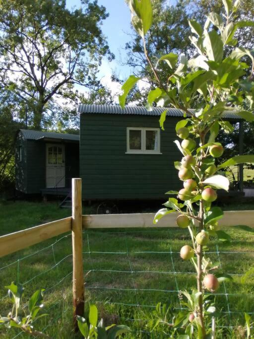Penn Bergeyn Shepherd's Huts